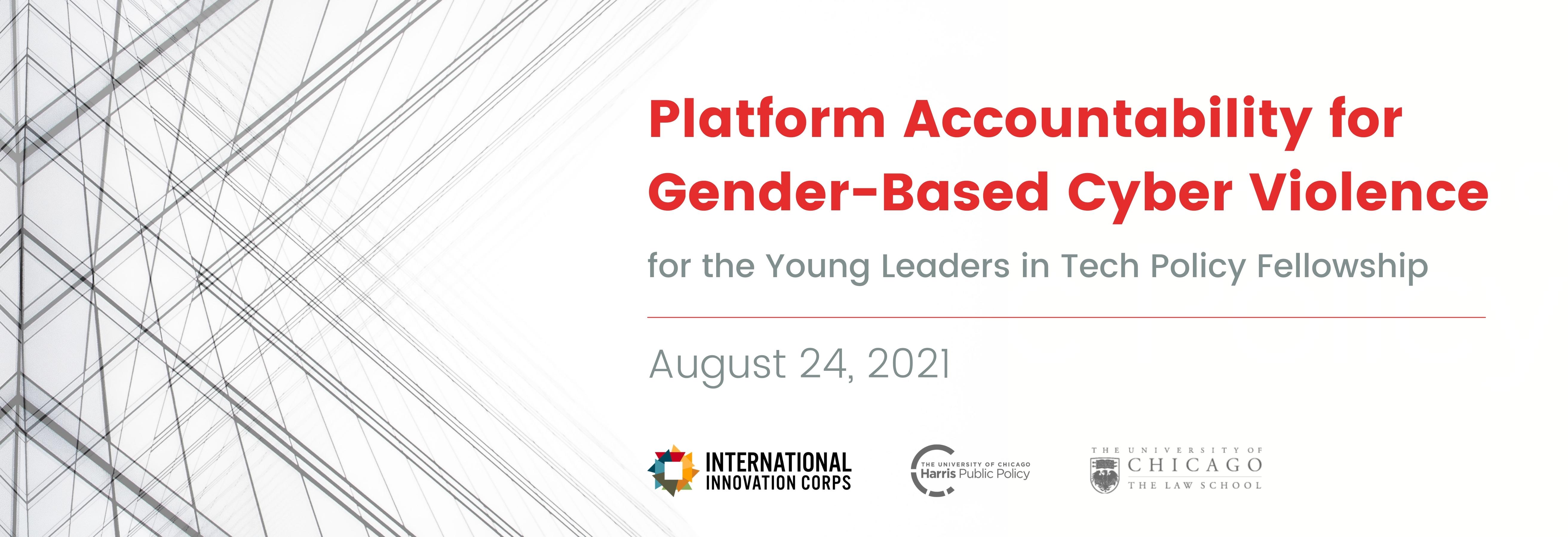 Banner for Platform Accountability for Gender-Based Cyber Violence