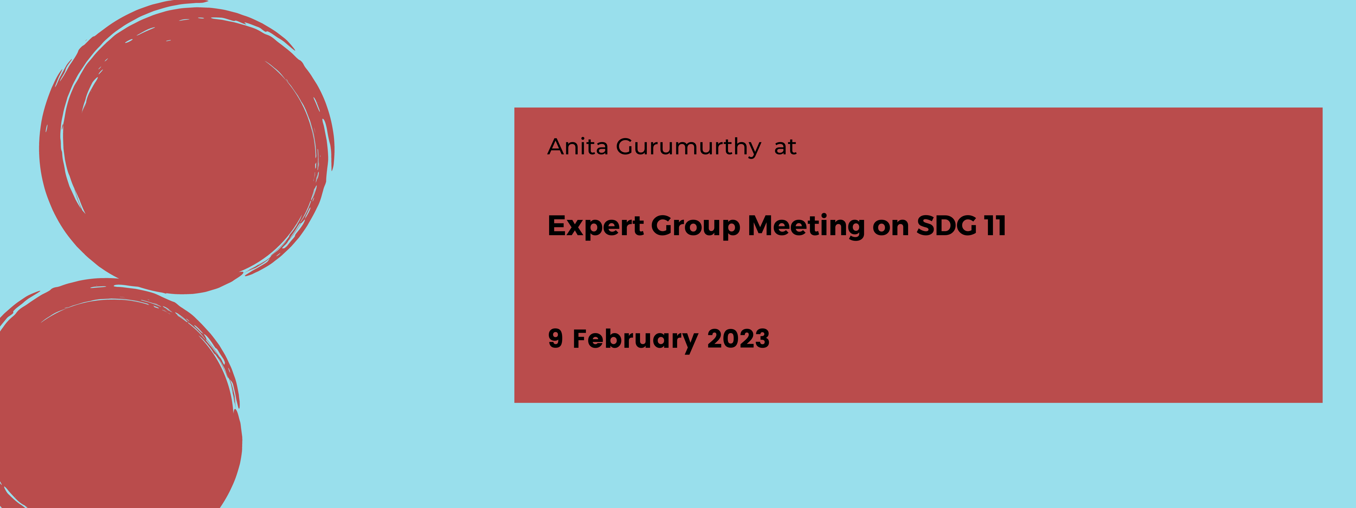 Expert Group Meeting on SDG 11’