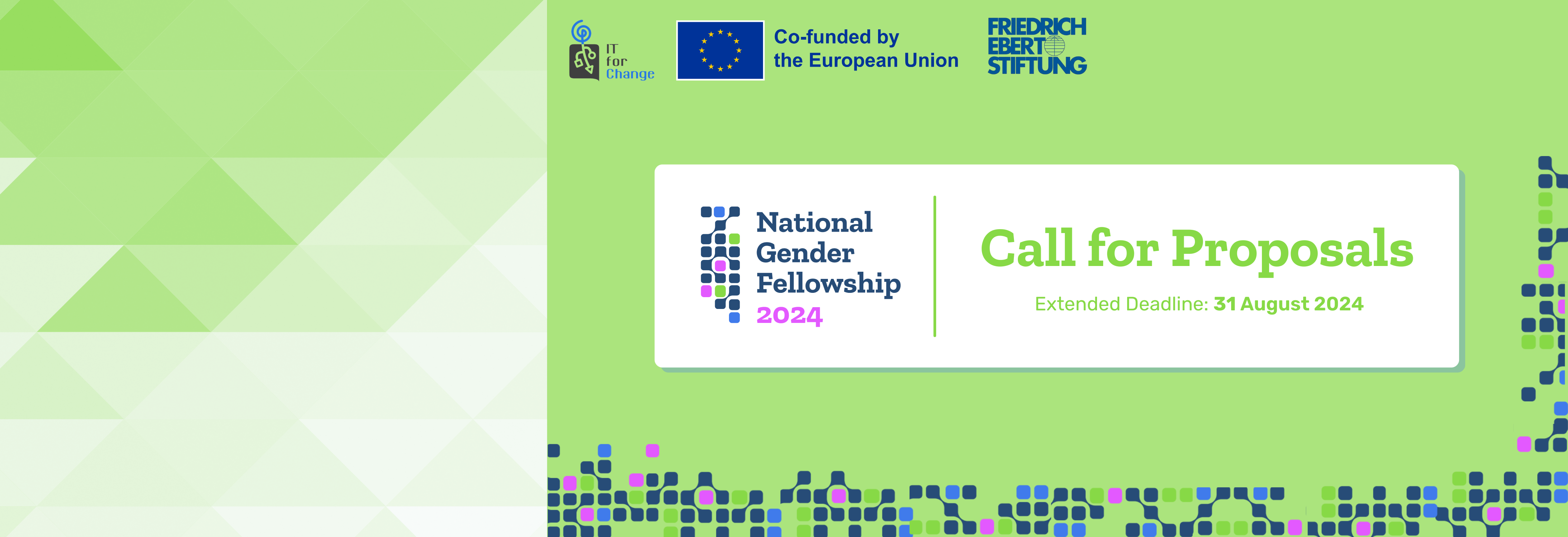 National Gender Fellowships 2024 Call for Proposals