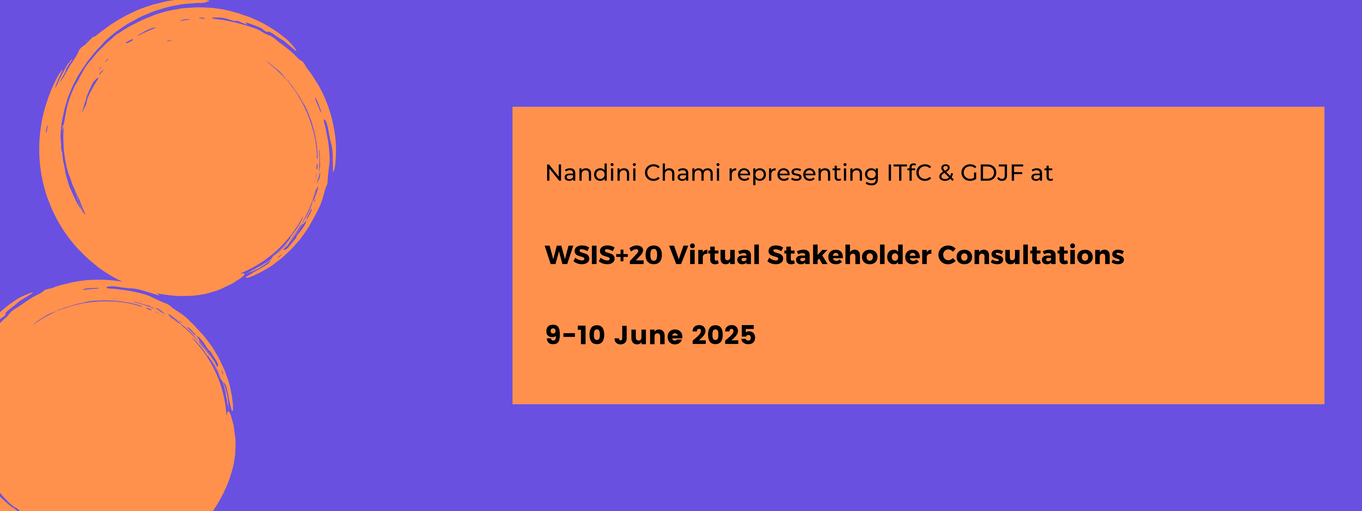Nandini At WSIS consultation