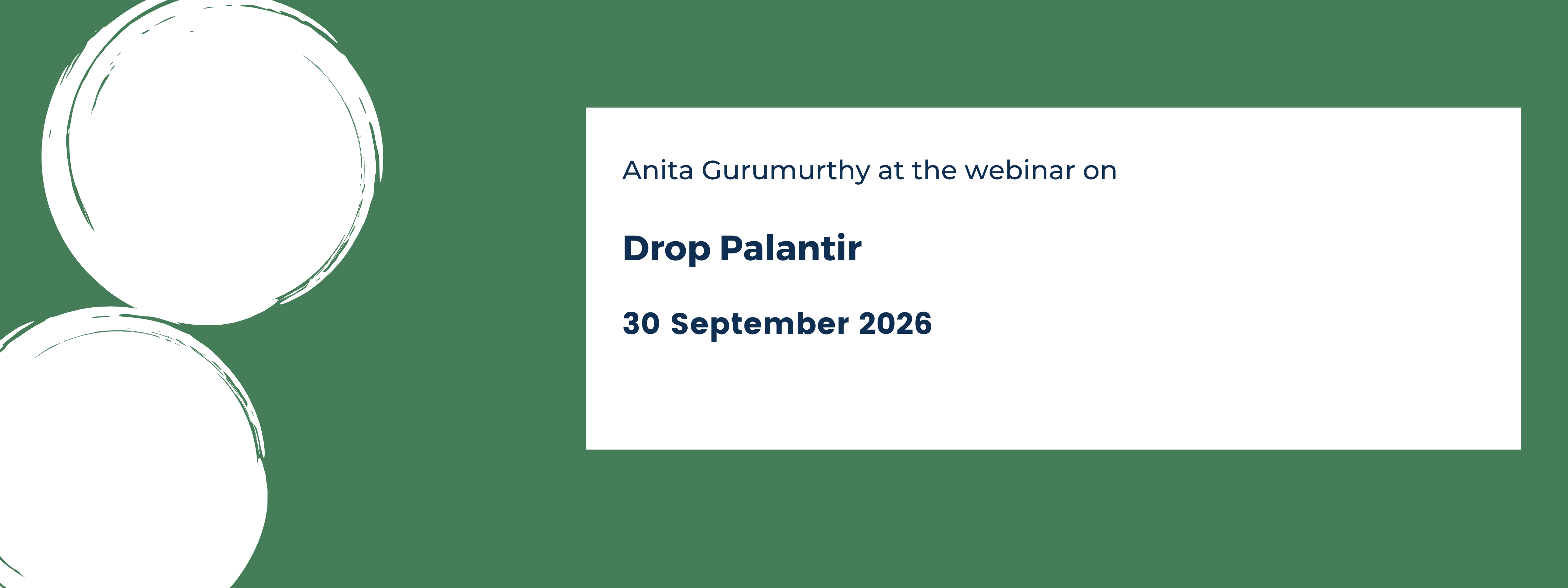 Drop Palantir