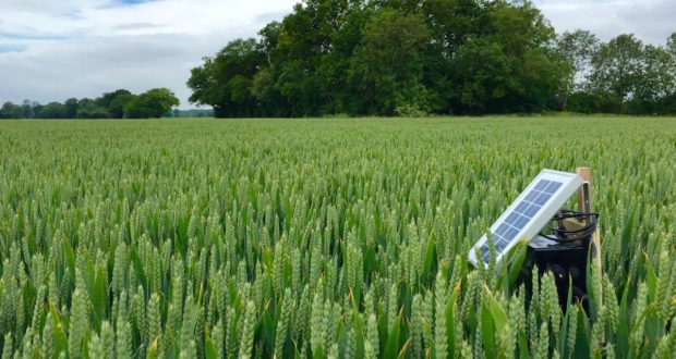 Agriculture sensors